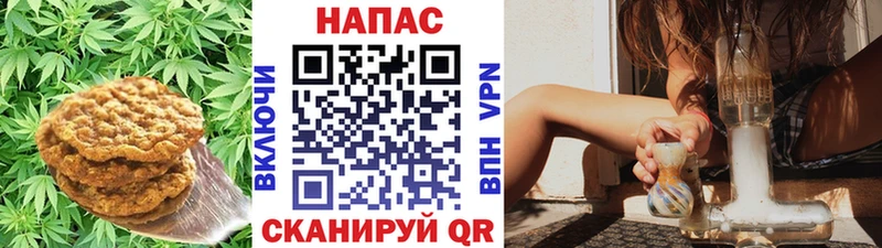 Печенье с ТГК конопля Новодвинск