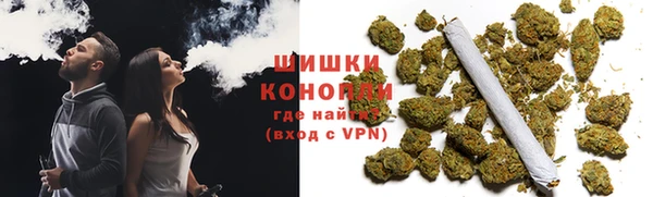 ГАЛЛЮЦИНОГЕННЫЕ ГРИБЫ Богородск