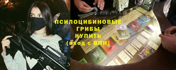 ГАЛЛЮЦИНОГЕННЫЕ ГРИБЫ Богородск