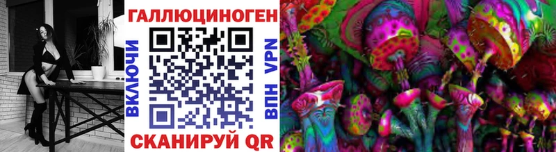 Псилоцибиновые грибы Psilocybine cubensis  Новодвинск 